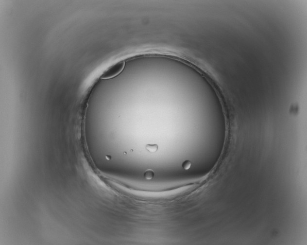 X0000113091504200909111015