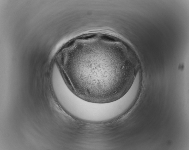 X0000113091506200909111015
