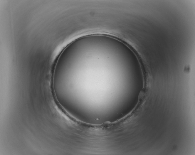 X0000113091508200909111015