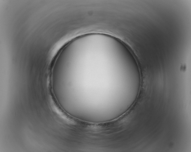 X0000113091511200909111015
