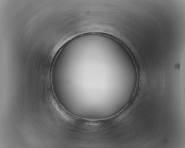 X0000113091513200909111015