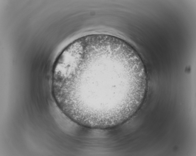 X0000113091514200909111015