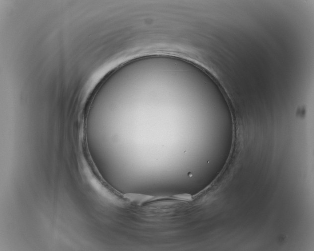 X0000113091515200909111015