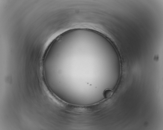 X0000113091517200909111015