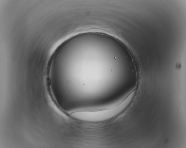 X0000113091518200909111015