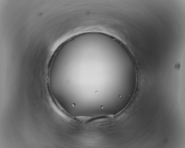 X0000113091519200909111015