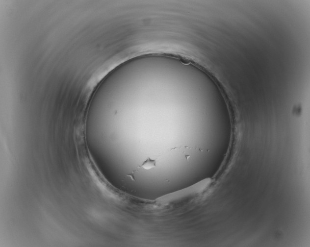 X0000113091521200909111015