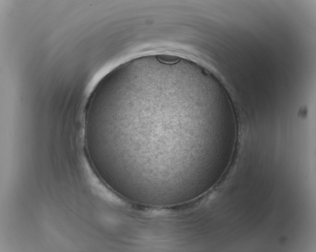 X0000113091522200909111015