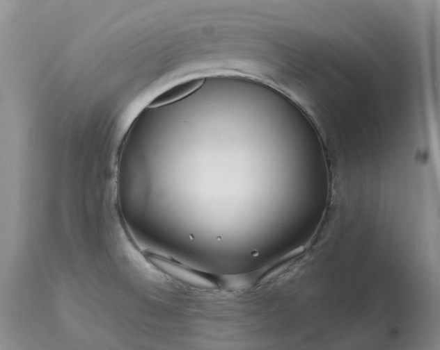 X0000113091524200909111015