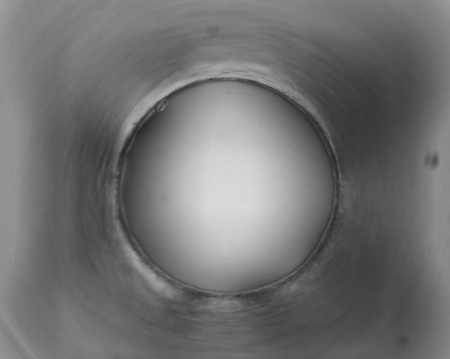 X0000113091525200909111015