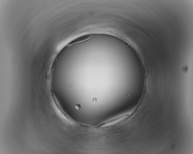X0000113091528200909111015