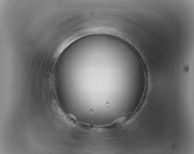 X0000113091529200909111015