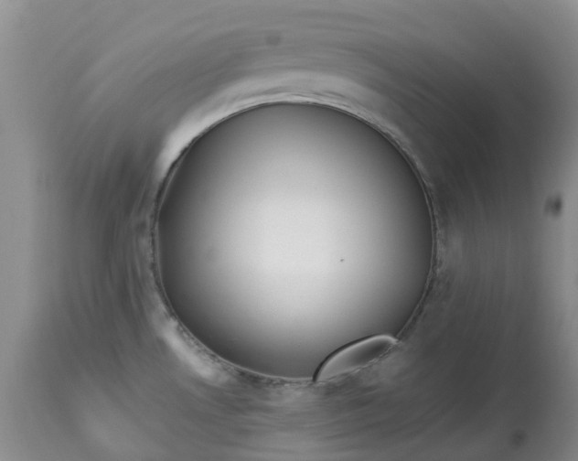 X0000113091530200909111015
