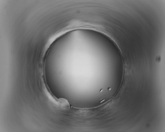 X0000113091531200909111015