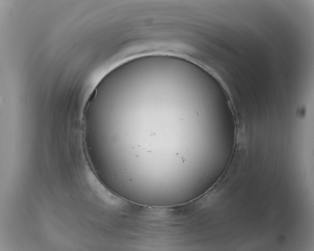 X0000113091532200909111015