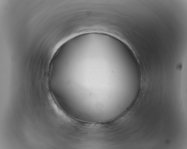 X0000113091534200909111015