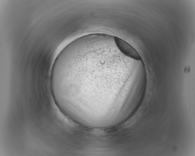 X0000113091536200909111015