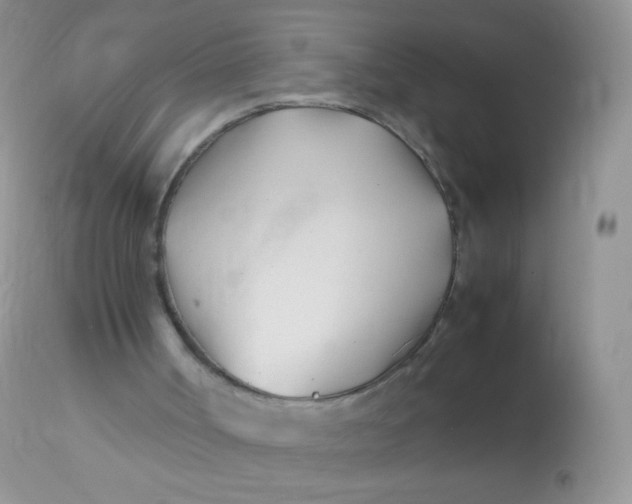 X0000113090002200909182125