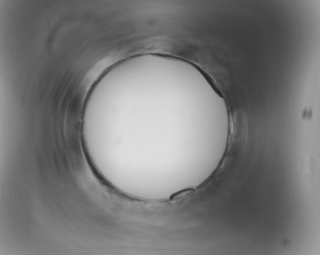 X0000113090003200909182125