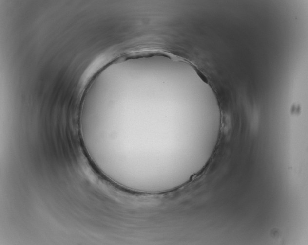 X0000113090004200909182125