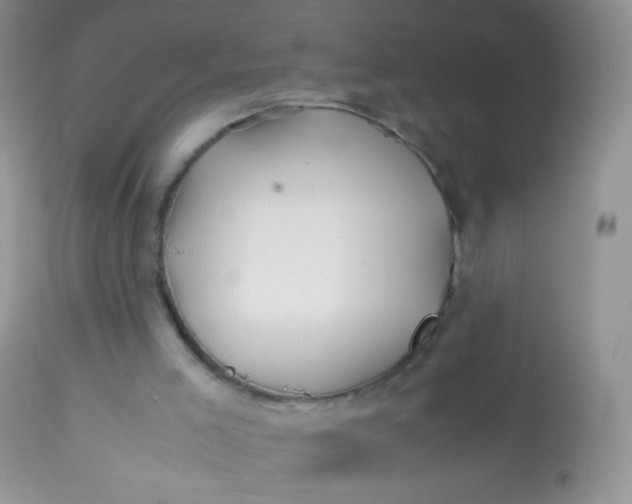 X0000113090005200909182125