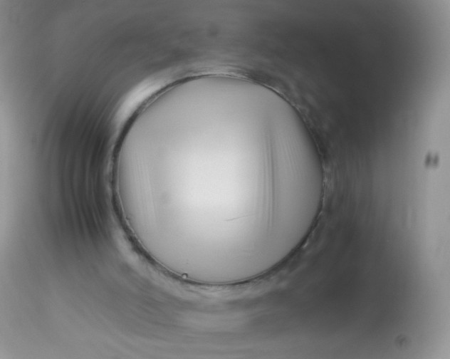 X0000113090006200909182125