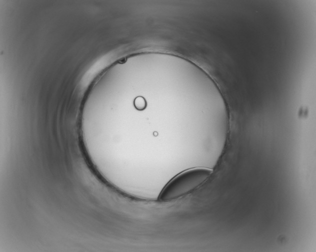 X0000113090007200909182125