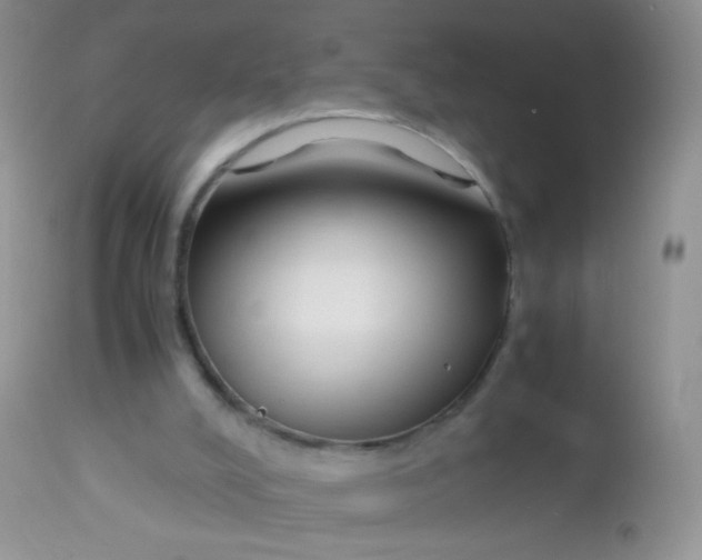 X0000113090008200909182125