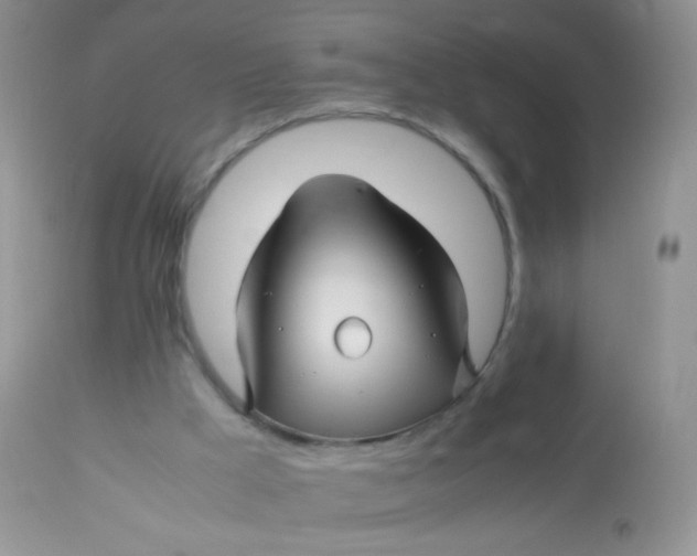 X0000113090009200909182125