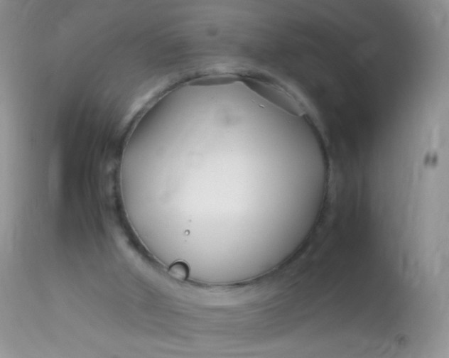 X0000113090010200909182125