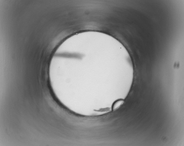 X0000113090011200909182125