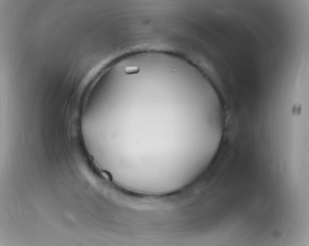 X0000113090012200909182125