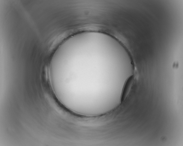 X0000113090013200909182125