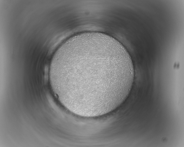 X0000113090014200909182125