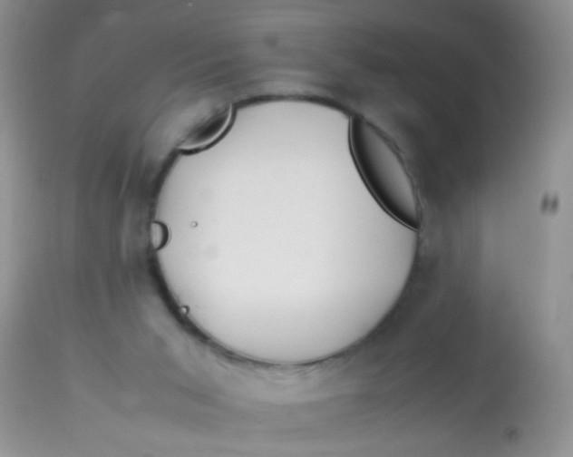 X0000113090015200909182125