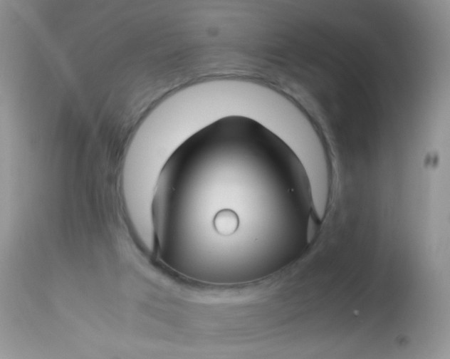 X0000113090017200909182125