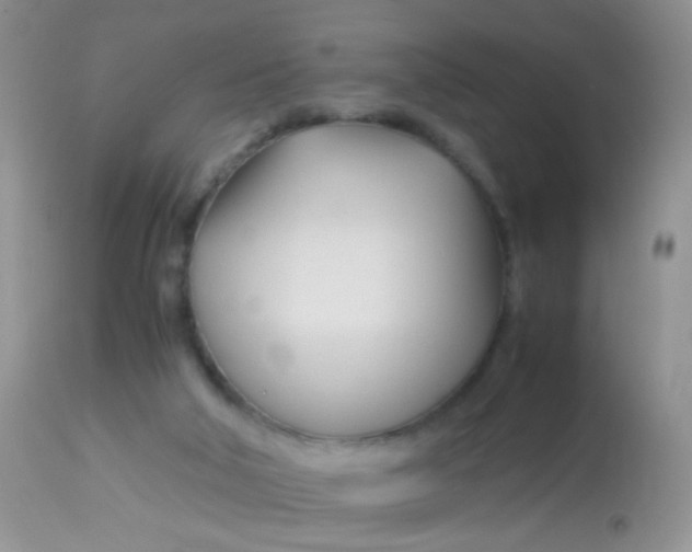 X0000113090018200909182125