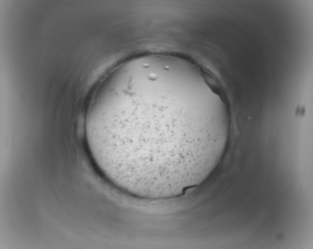 X0000113090019200909182125