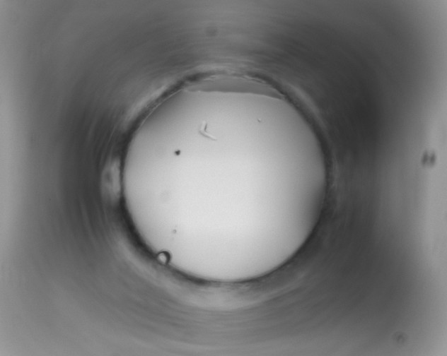 X0000113090020200909182125