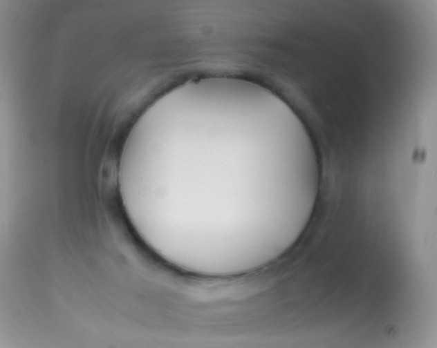 X0000113090021200909182125