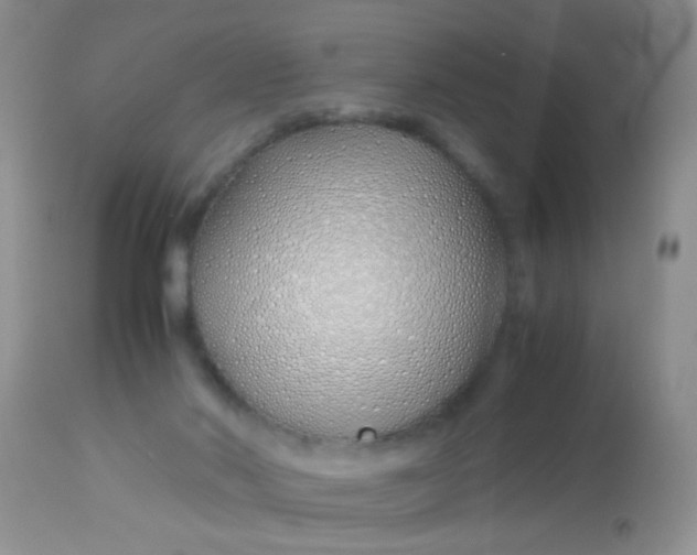 X0000113090022200909182125