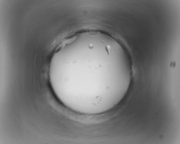 X0000113090023200909182125