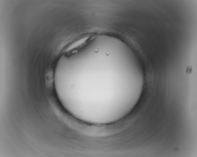 X0000113090024200909182125