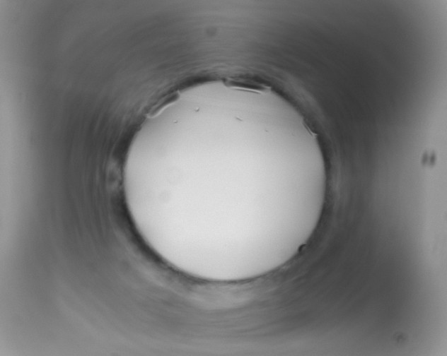 X0000113090025200909182125