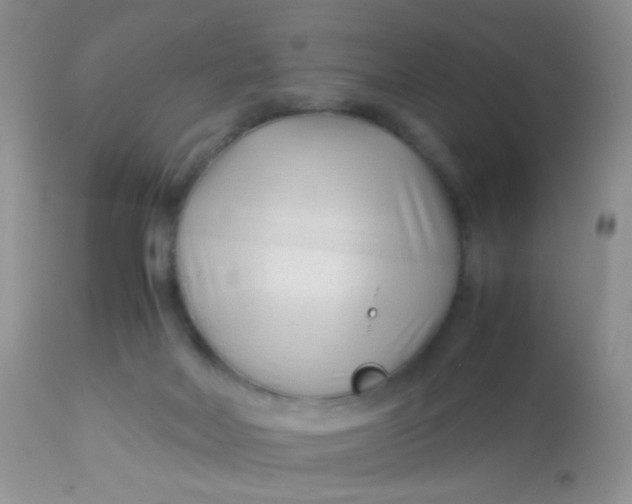 X0000113090026200909182125