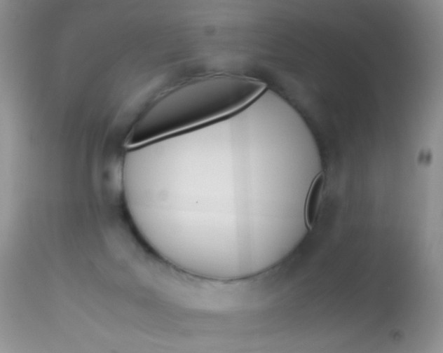 X0000113090027200909182125