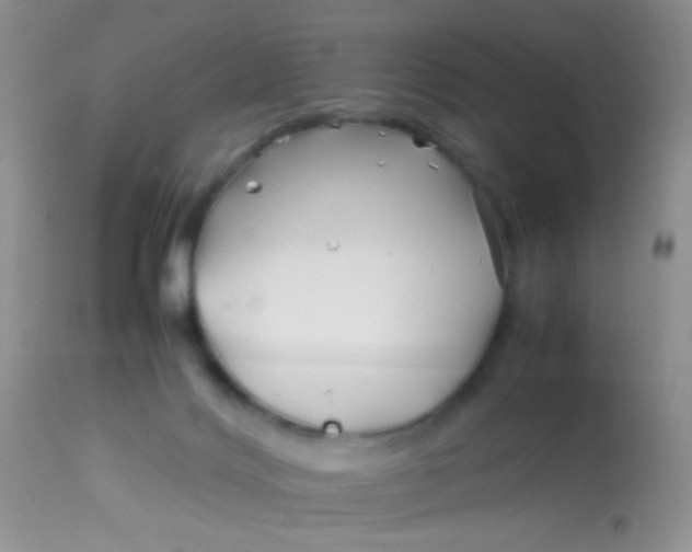 X0000113090028200909182125