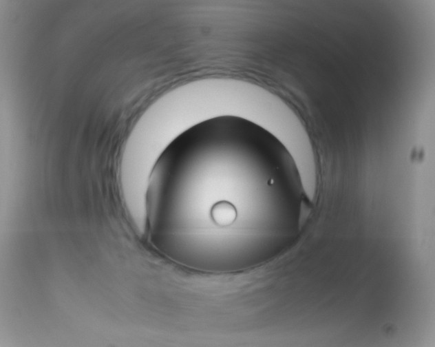 X0000113090029200909182125