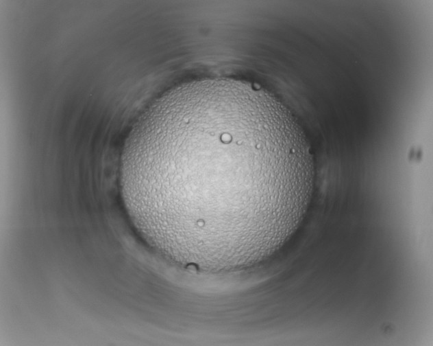 X0000113090030200909182125