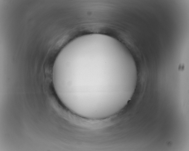 X0000113090031200909182125